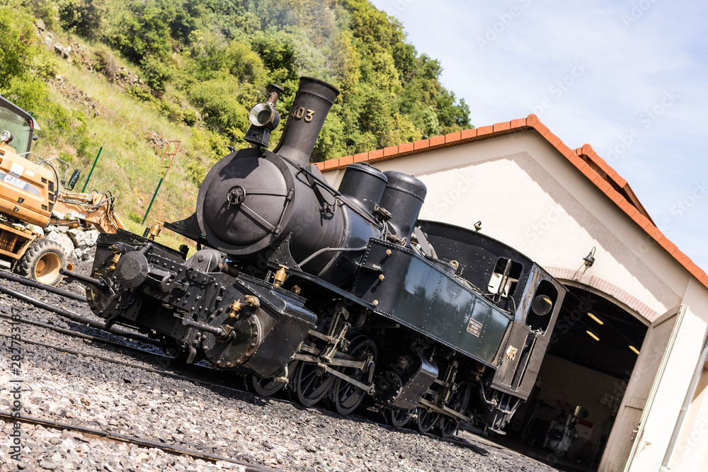Obraz premium Train à vapeur