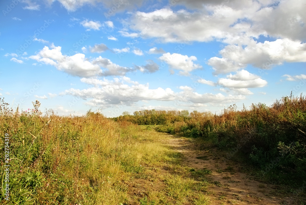 Beauty autumn landscape