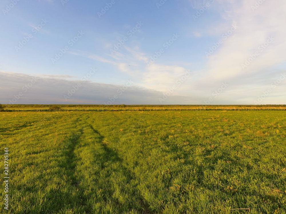 green field. Vylgort