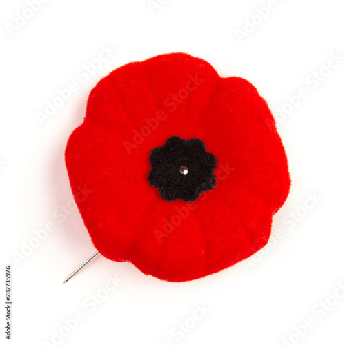 Remembrance Day Poppy
