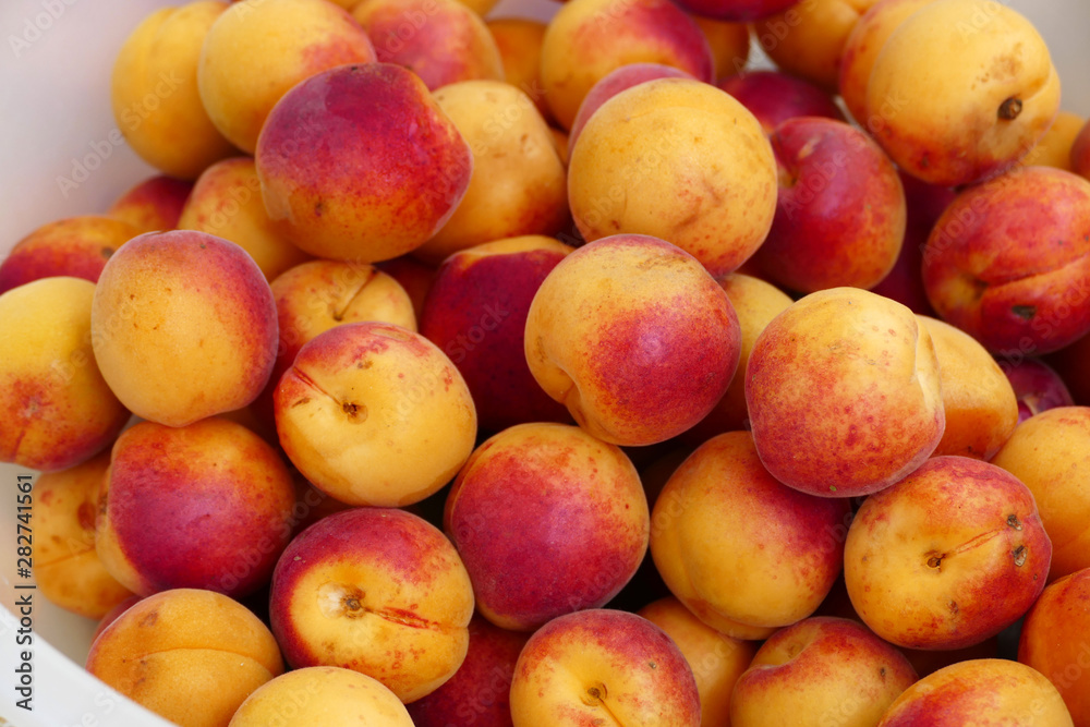 organic red colored apricots, ripe apricots, natural apricot fruit,