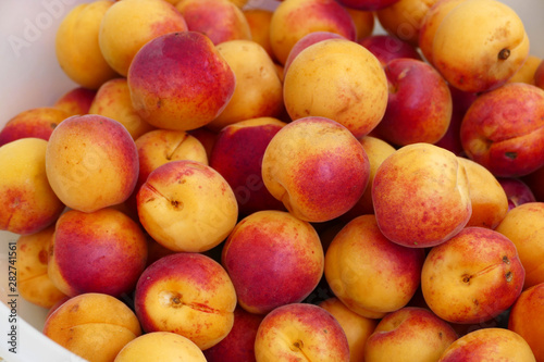 organic red colored apricots  ripe apricots  natural apricot fruit 