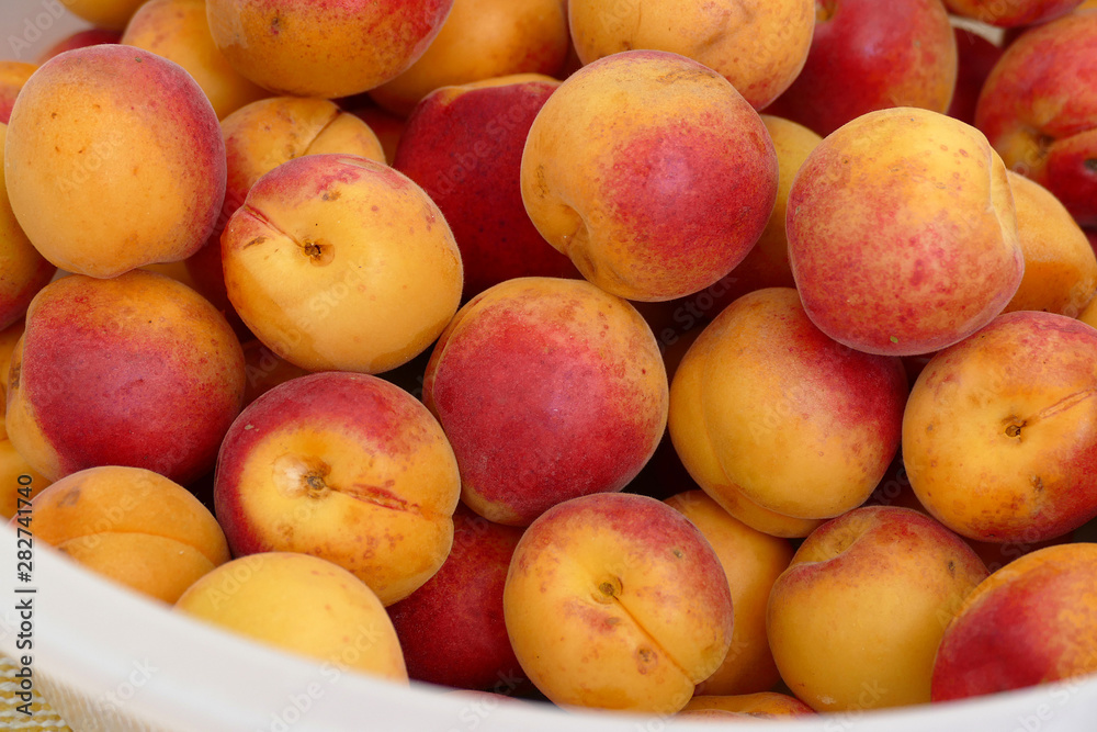  ripe apricots, natural apricot fruit, dark pink fried fresh apricots,