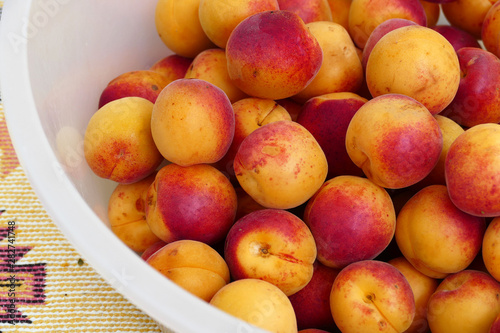 organic red colored apricots, ripe apricots, natural apricot fruit,