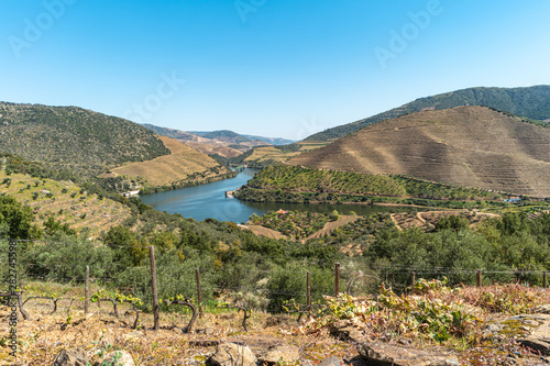 Viewpoint of Vargelas allows to see a vast landscape on the Douro and its man-made slopes. Douro Region, famous Port Wine Region, Portugal.