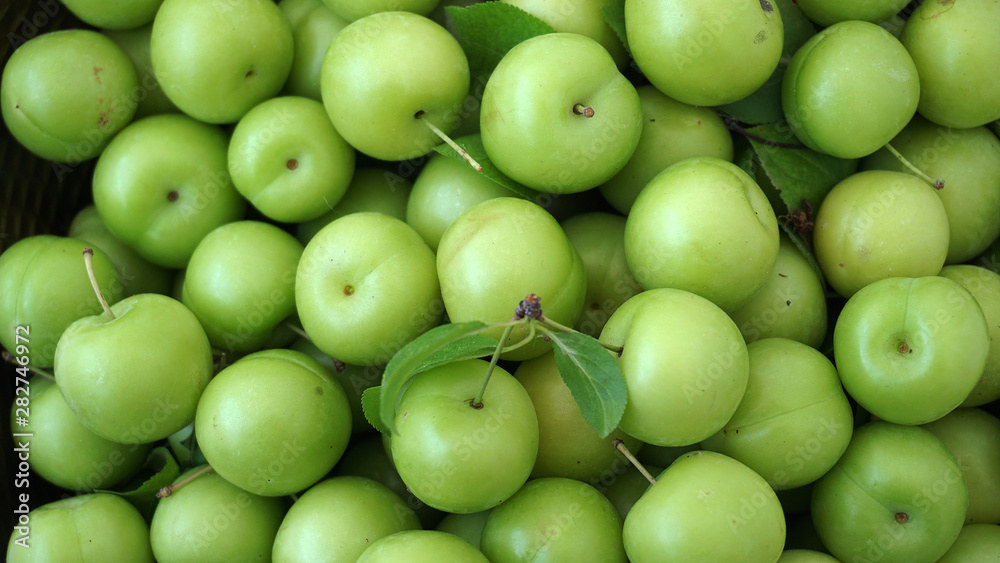 green plums on white ground, fresh plums, green plums on white ground, fresh plums,