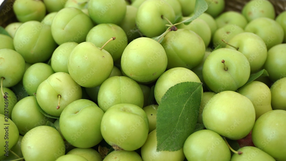 lots of green and sour fresh plums, on white background