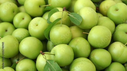 green plums, fresh plums, sour plums in a container, green and sour plums close-up,
