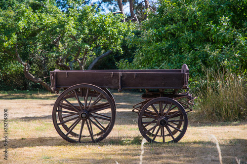 Vintage cart in Danish forest photo