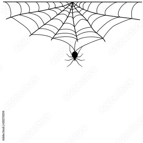 hellowen spiderweb spiders