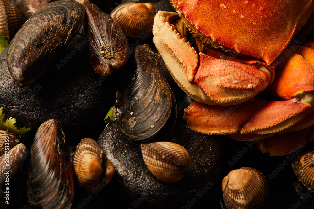 close up view of uncooked crab, cockles and mussels with greenery on stones isolated on black