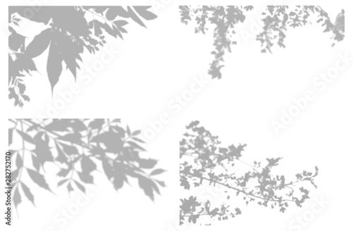 Set of transparent shadow effects for branding. Shadow lining for the mock-up presentations.The shadow of tree branches for a natural lighting effects © Natika_art