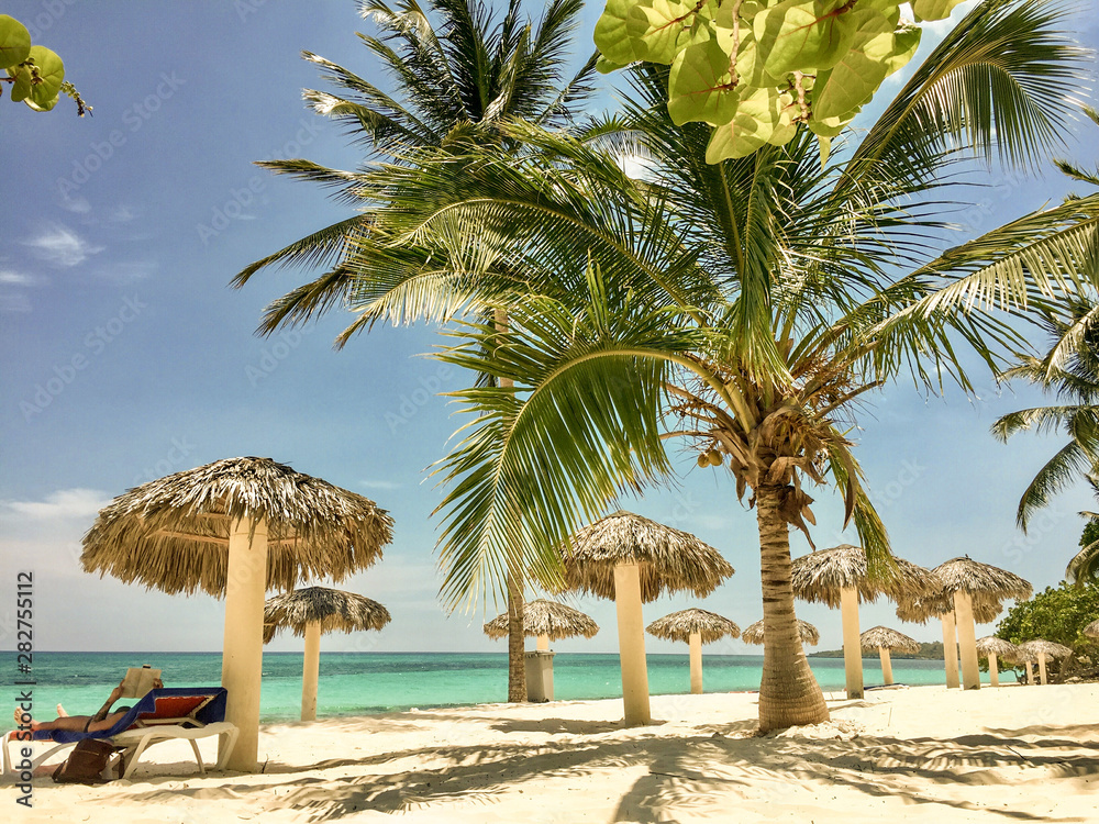 tropical beach with palm trees and palapas