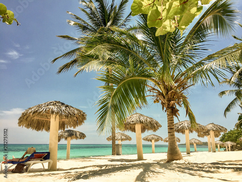 tropical beach with palm trees and palapas