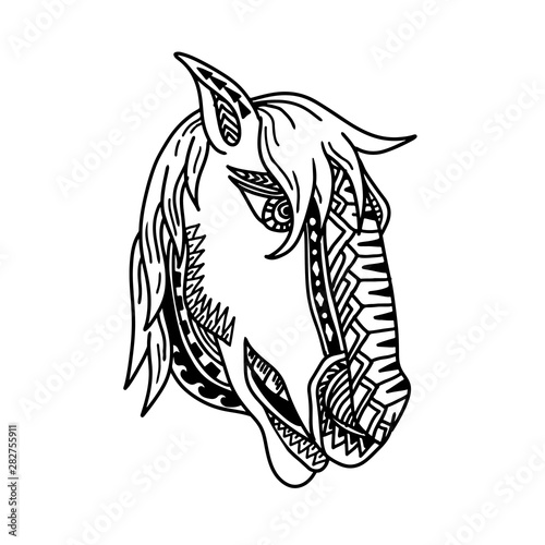 Tribal tattoo style illustration of  head of a horse, colt, stallion or bronco viewed from side on isolated white background done in black and white.