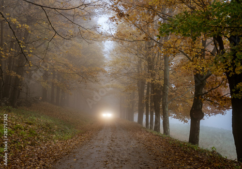 Car headlights can be seem coming along the road on a misty day in late Autumn as the trees begin to lose their leaves in Vermont
