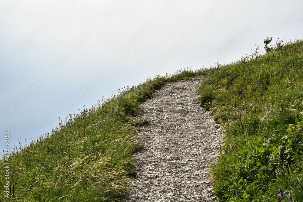 Lane in meadow and deep blue sky. Nature design. Very summer landscape. the road in rural areas. field on a background of the blue sky. Lane in meadow and deep blue sky. Nature design. Very summer landscape. the road in rural areas. field on a background of the blue sky.