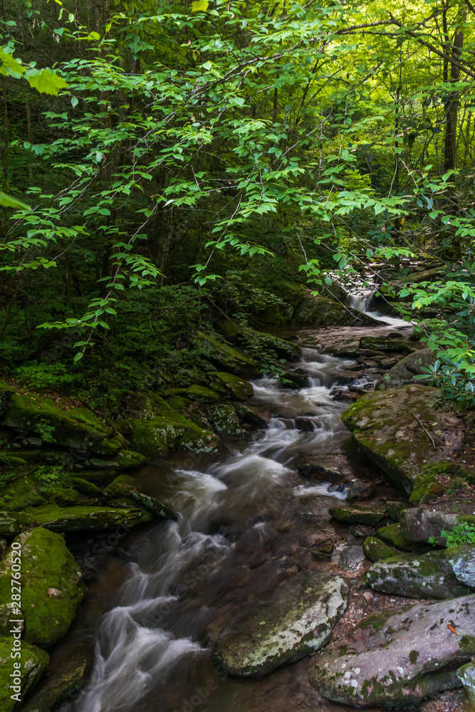 Mountain stream and small waterfall 