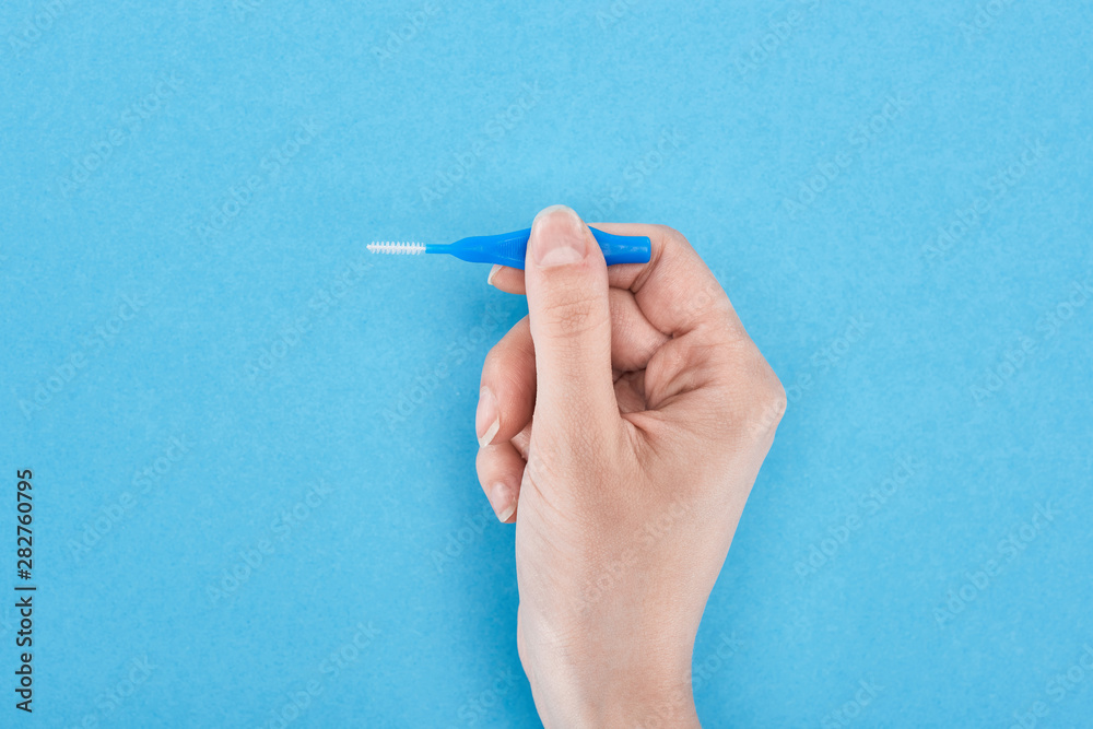 cropped view of woman holding inter dental teeth cleaning brush isolated on blue cropped view of woman holding inter dental teeth cleaning brush isolated on blue