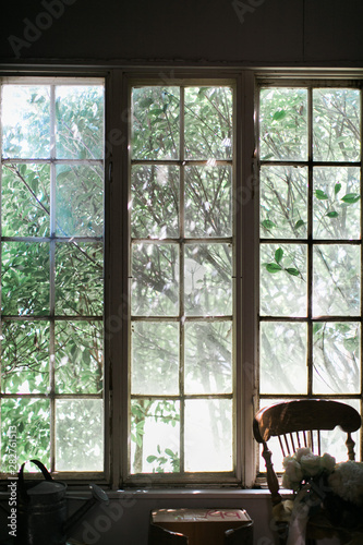 old window with trees outside and light coming through, waterman, flower arrangement © Deidre