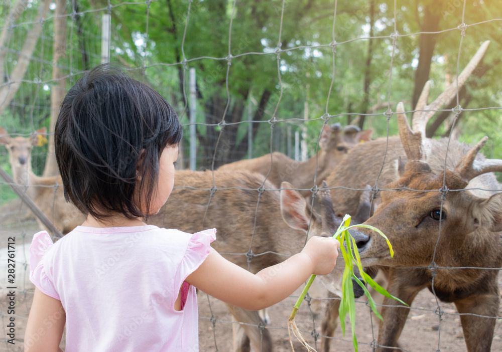 Child feeding wild deer at petting zoo. Kids feed animals at outdoor safari  park. Little girl