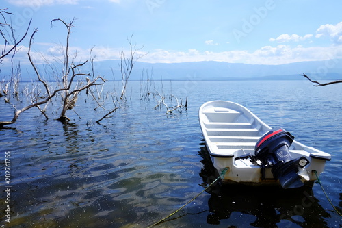 The motorboat near to dead trees in the Enriquillo lake. Dead forest in a water. Dead trees in a swamp. Dead trees in a water. photo