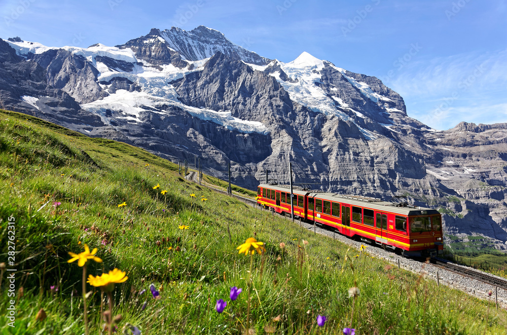 A tourist train travels on Jungfrau Railway from Jungfraujoch (Top of Europe) to Kleine Scheidegg & wild flowers bloom on a green grassy hillside under blue sunny sky in Bernese Oberland, Switzerland A tourist train travels on Jungfrau Railway from Jungfraujoch (Top of Europe) to Kleine Scheidegg & wild flowers bloom on a green grassy hillside under blue sunny sky in Bernese Oberland, Switzerland