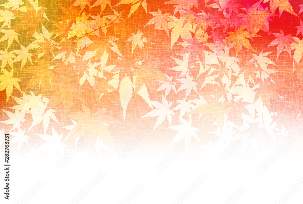 紅葉　もみじ　葉　背景 