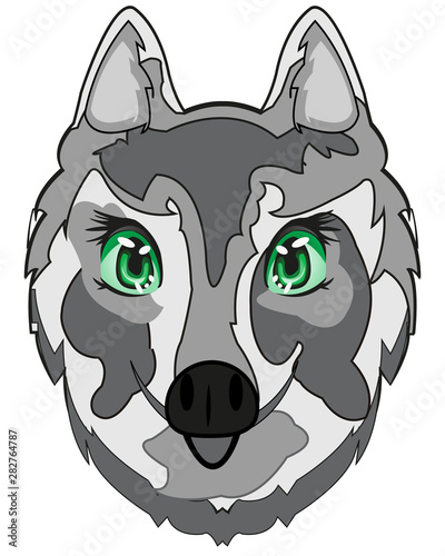 Vector illustration of the mug of the dog husky