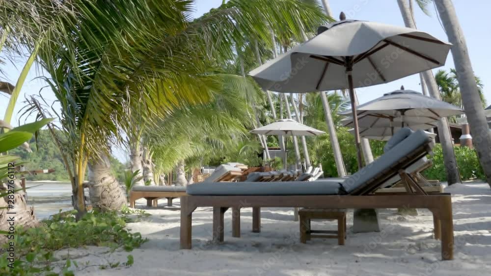 Lounge chairs on a tropical beach with umbrellas and palm trees, medium shot