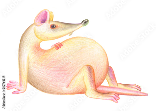 Pencil drawing of a rat. Illustration for children. Image of animals with colored pencils. Chinese Horoscope 2020. The pregnant rat is resting.