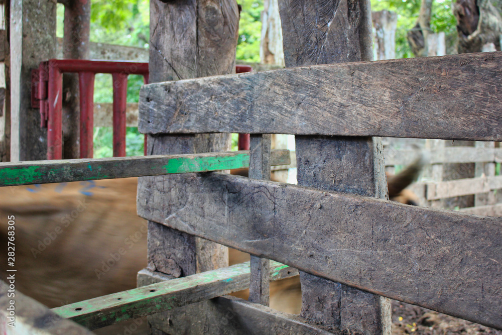 Paddock Fence with Wood and Colors