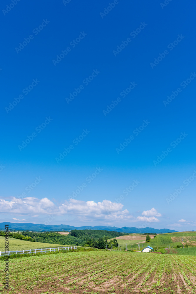 北海道 美瑛町　新栄の丘