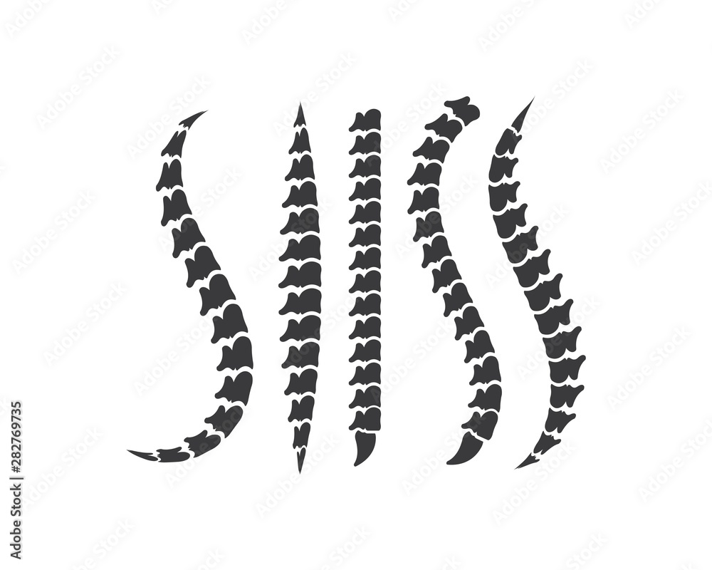 Naklejka premium Spine diagnostics logo icon template vector illustration