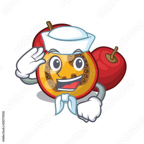 Sailor fruit tamarillo slices in cartoon shape