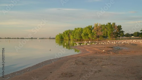 Early morning on an empty swimming beach in Boyd Lake State Park in northern Colorado, static shot with seagulls flying photo