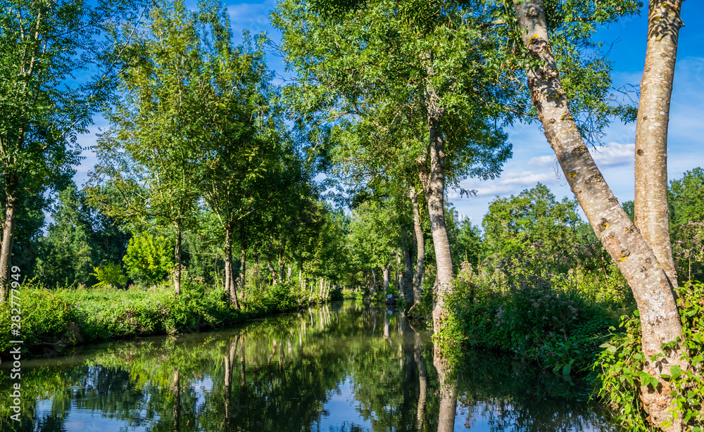 Fototapeta premium Marais-Poitevin.