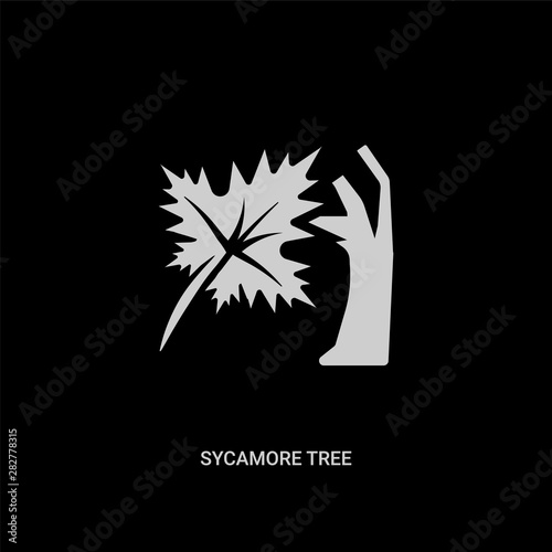 white sycamore tree vector icon on black background. modern flat sycamore tree from nature concept vector sign symbol can be use for web, mobile and logo.
