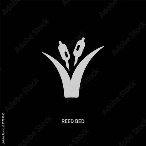 white reed bed vector icon on black background. modern flat reed bed from nature concept vector sign symbol can be use for web, mobile and logo.