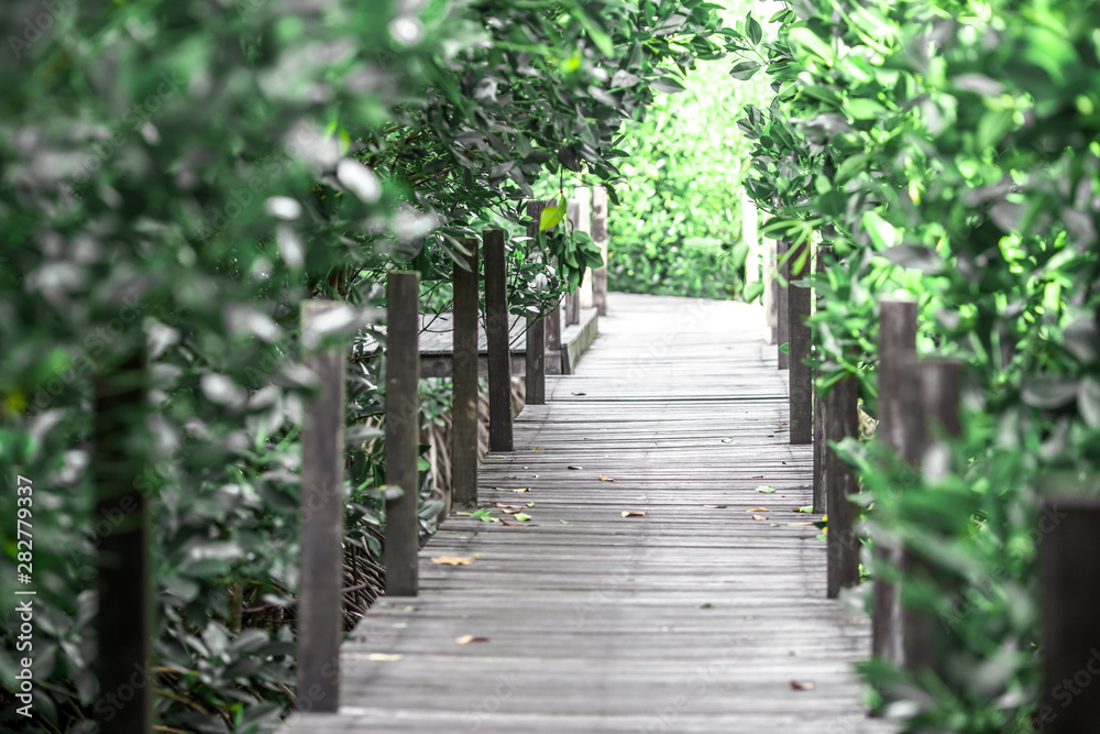 Close-up view of the natural background of the wooden bridge, which is surrounded by mangrove forests, colorful leaves of the leaves, blown through the blurred coolness during ecological travel. Close-up view of the natural background of the wooden bridge, which is surrounded by mangrove forests, colorful leaves of the leaves, blown through the blurred coolness during ecological travel.
