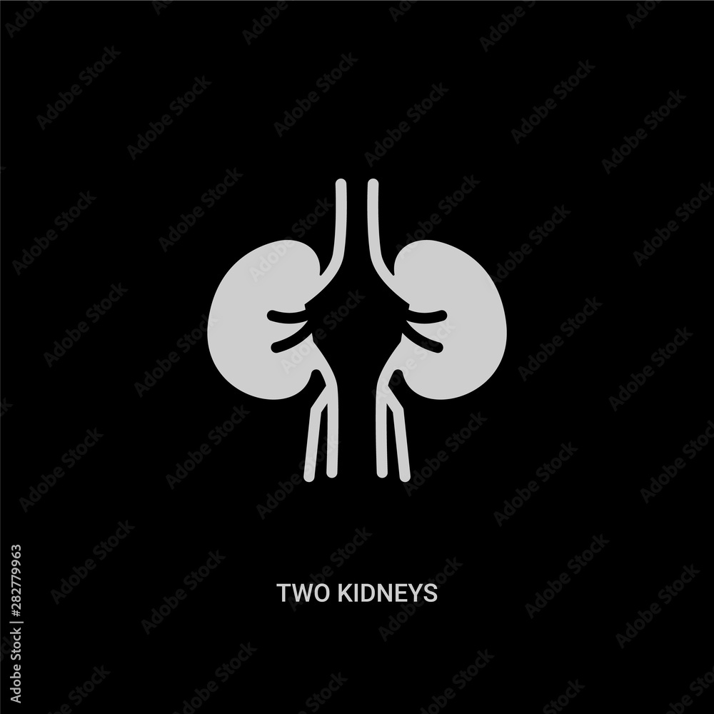 white two kidneys vector icon on black background. modern flat two kidneys from human body parts concept vector sign symbol can be use for web, mobile and logo. white two kidneys vector icon on black background. modern flat two kidneys from human body parts concept vector sign symbol can be use for web, mobile and logo.