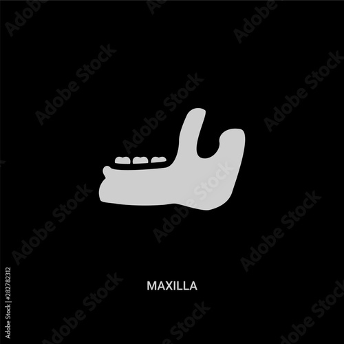 white maxilla vector icon on black background. modern flat maxilla from dentist concept vector sign symbol can be use for web, mobile and logo.