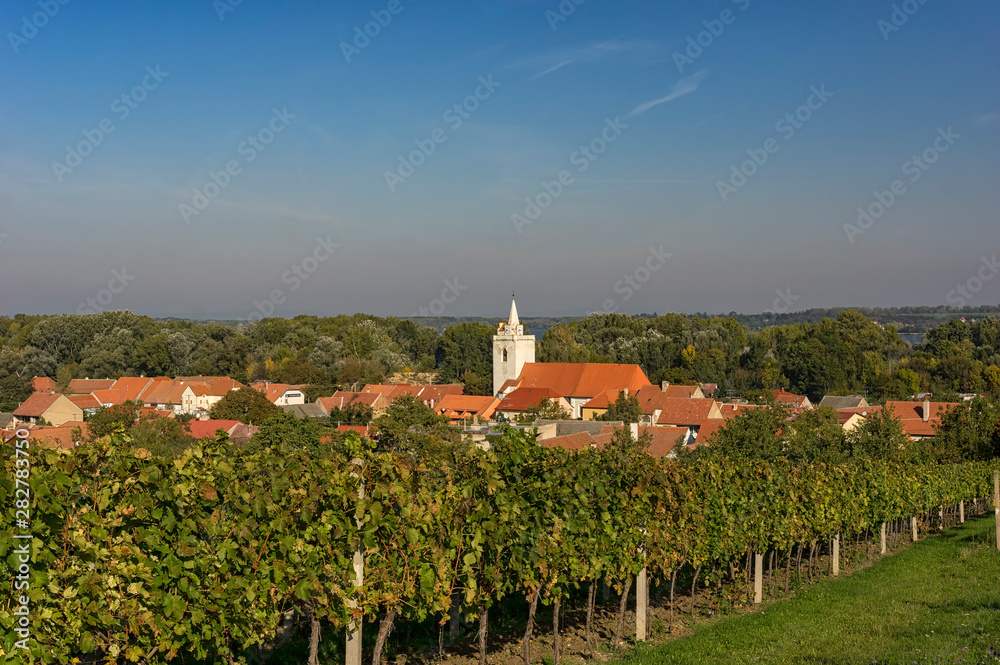 South Moravian /Dolni Vestonice/ landscape view with wine yards and St. Michael church in the background South Moravian /Dolni Vestonice/ landscape view with wine yards and St. Michael church in the background