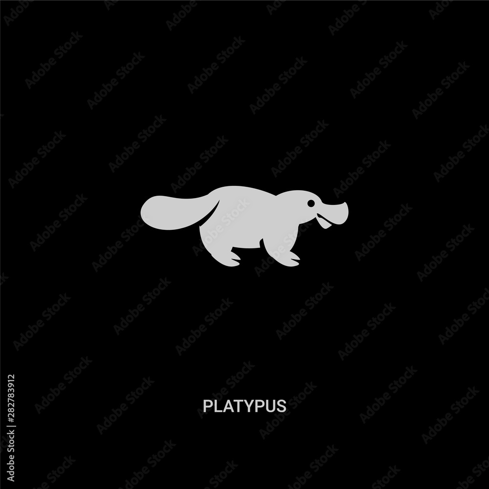 Obraz premium white platypus vector icon on black background. modern flat platypus from animals concept vector sign symbol can be use for web, mobile and logo.