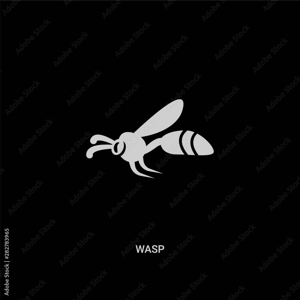white wasp vector icon on black background. modern flat wasp from animals concept vector sign symbol can be use for web, mobile and logo. white wasp vector icon on black background. modern flat wasp from animals concept vector sign symbol can be use for web, mobile and logo.