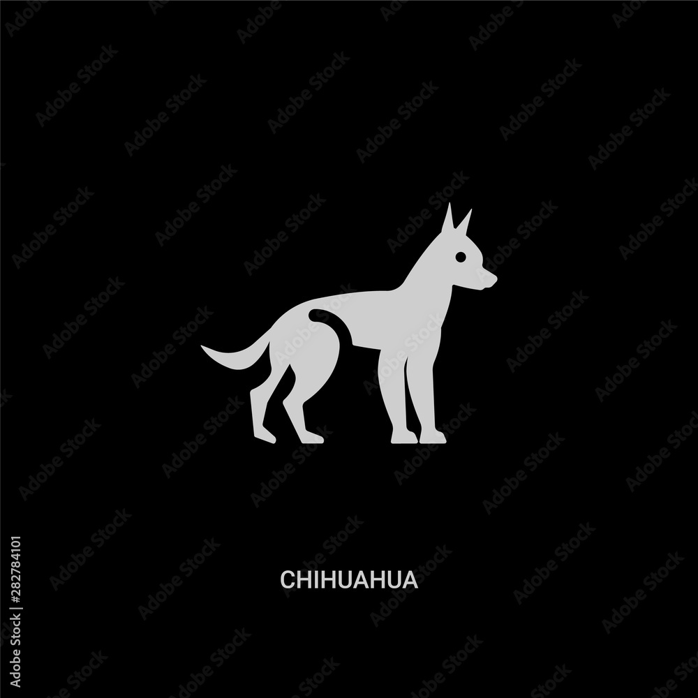 white chihuahua vector icon on black background. modern flat chihuahua from animals concept vector sign symbol can be use for web, mobile and logo.