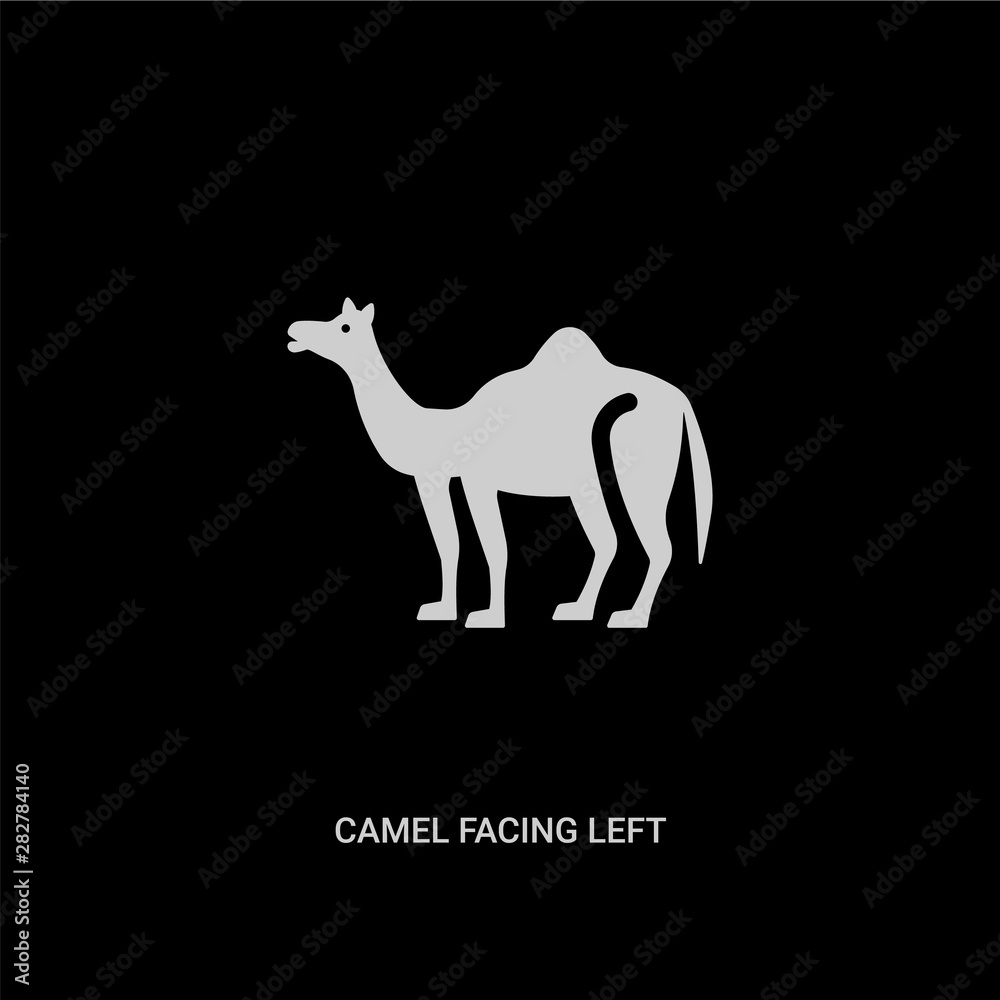 white camel facing left vector icon on black background. modern flat camel facing left from animals concept vector sign symbol can be use for web, mobile and logo. white camel facing left vector icon on black background. modern flat camel facing left from animals concept vector sign symbol can be use for web, mobile and logo.
