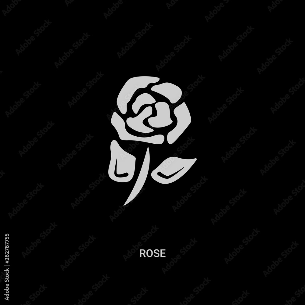 white rose vector icon on black background. modern flat rose from ecology concept vector sign symbol can be use for web, mobile and logo. white rose vector icon on black background. modern flat rose from ecology concept vector sign symbol can be use for web, mobile and logo.