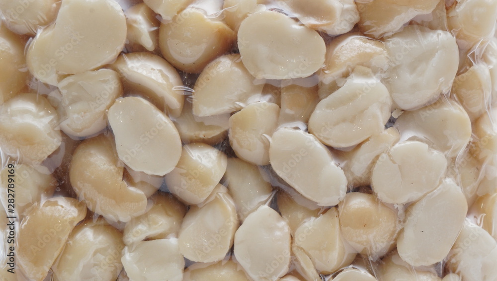 Macadamia Nut in vacuum plastic bag on the white background (21) Macadamia Nut in vacuum plastic bag on the white background (21)