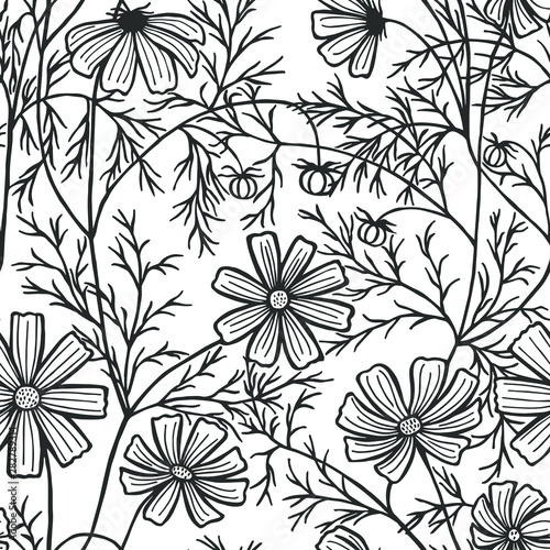 vector illustration eps10 . cosmea flowers, daisy, coloring book. Seamless pattern.